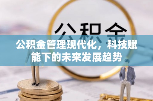 杨梅公积金管理现代化，科技赋能下的未来发展趋势