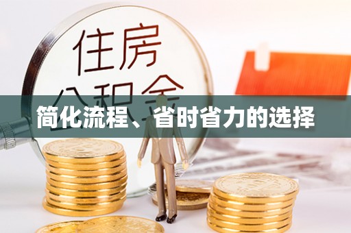 杨梅简化流程、省时省力的选择