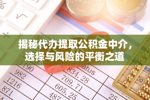 杨梅揭秘代办提取公积金中介，选择与风险的平衡之道