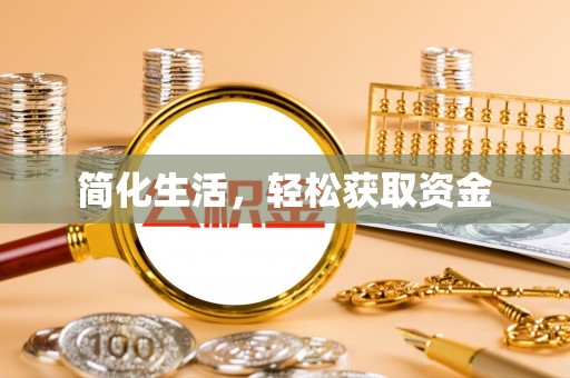 杨梅简化生活，轻松获取资金