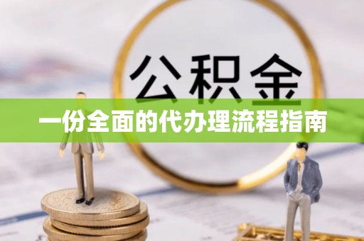 杨梅一份全面的代办理流程指南