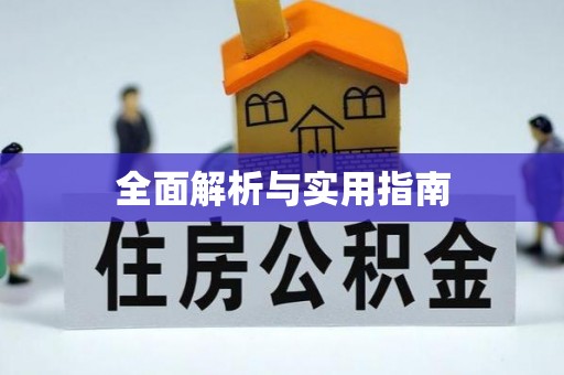 杨梅全面解析与实用指南